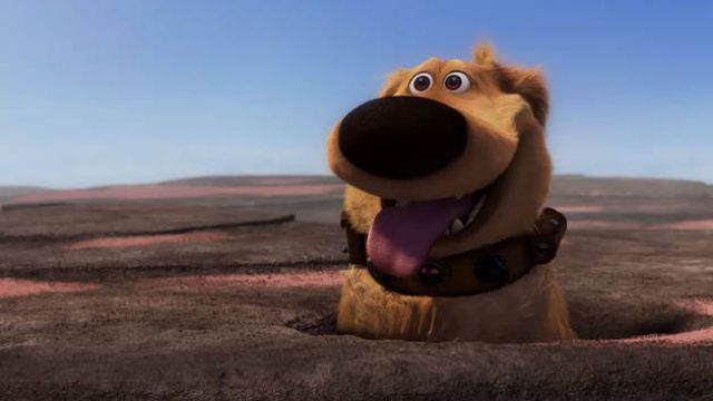 dug