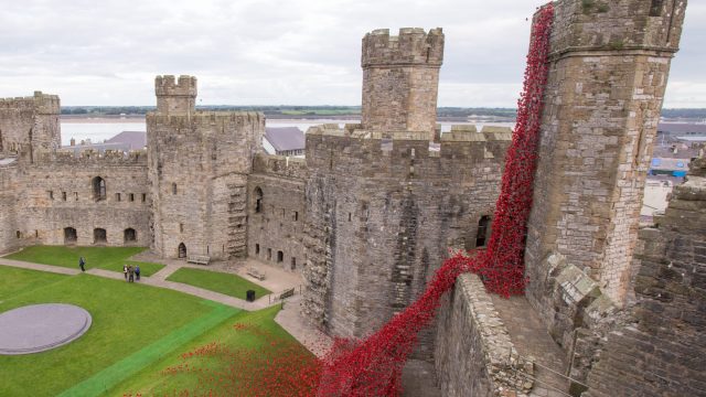 Iconic Poppy Sculpture Opens At Caernarfon Castle