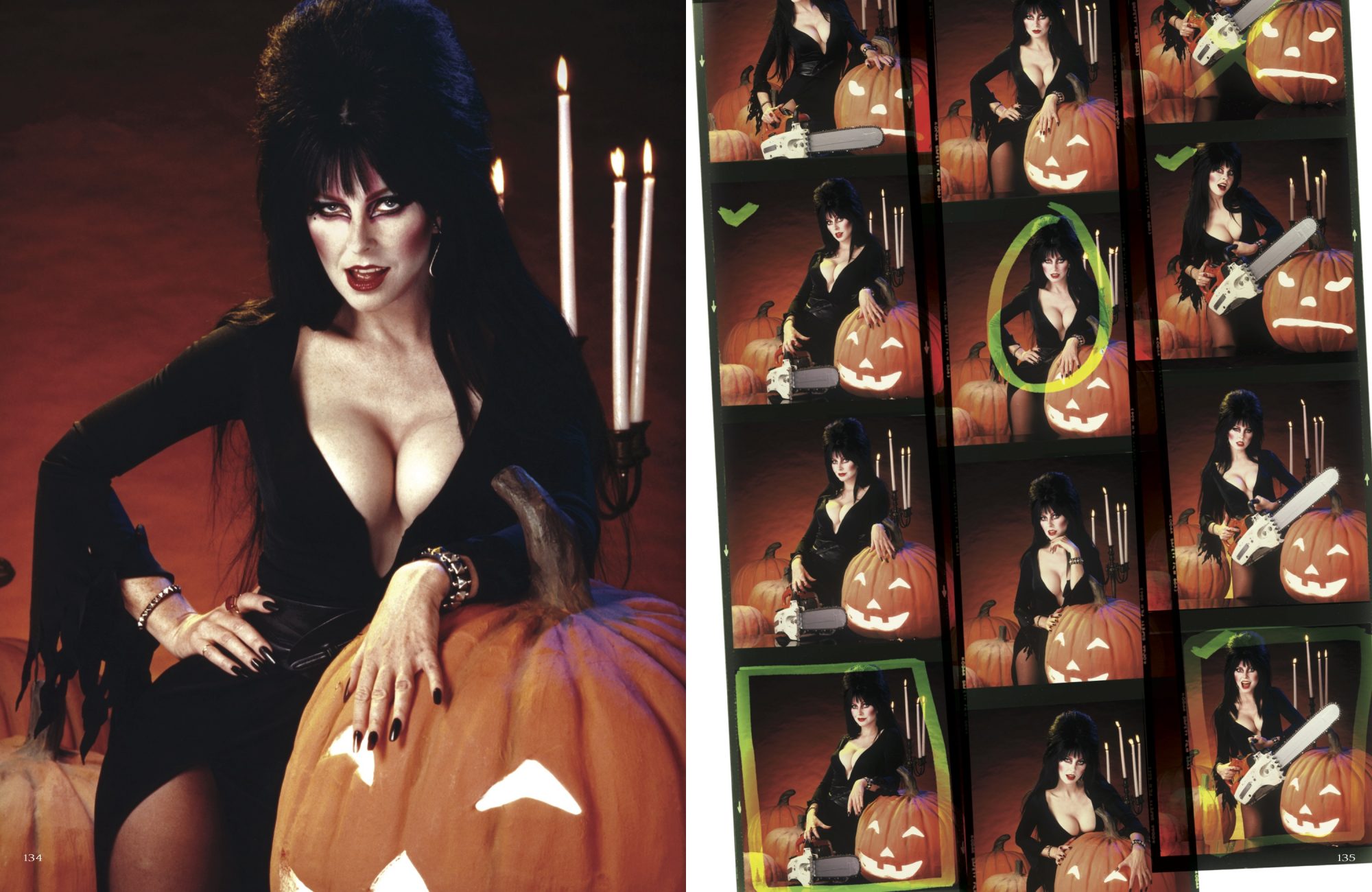 Celebrating 35 years of Halloween queen Elvira, Mistress of the Dark