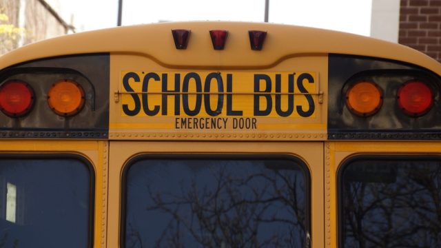 bus-school-school-bus-yellow-159658-large