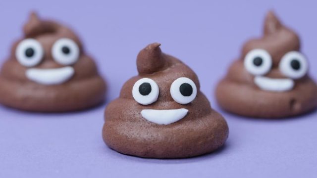 poop-cookies