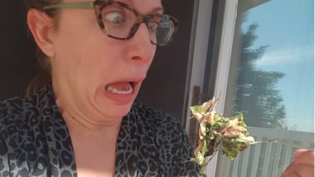 salad