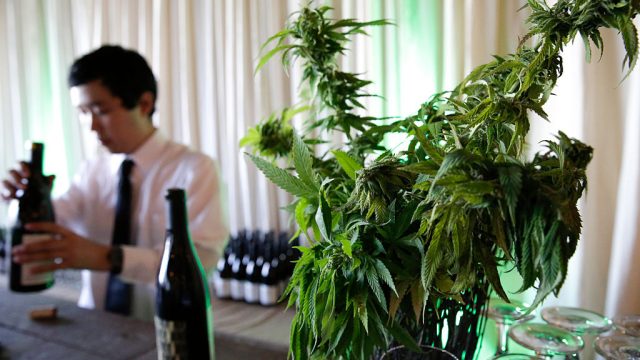 US-LIFESTYLE-FOOD-CANNABIS-HEALTH
