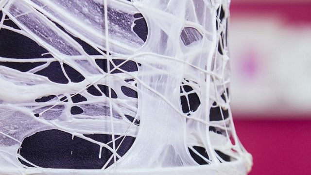 cobweb