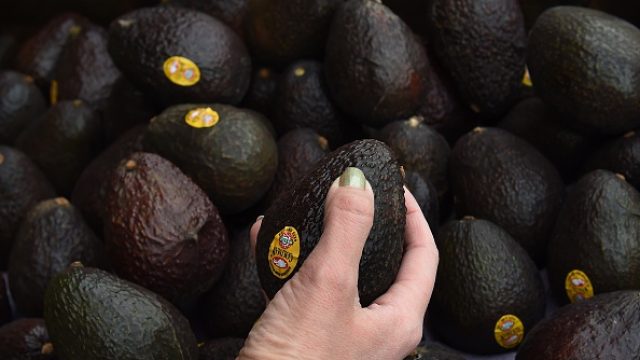 US-LIFESTYLE-FOOD-AVOCADO