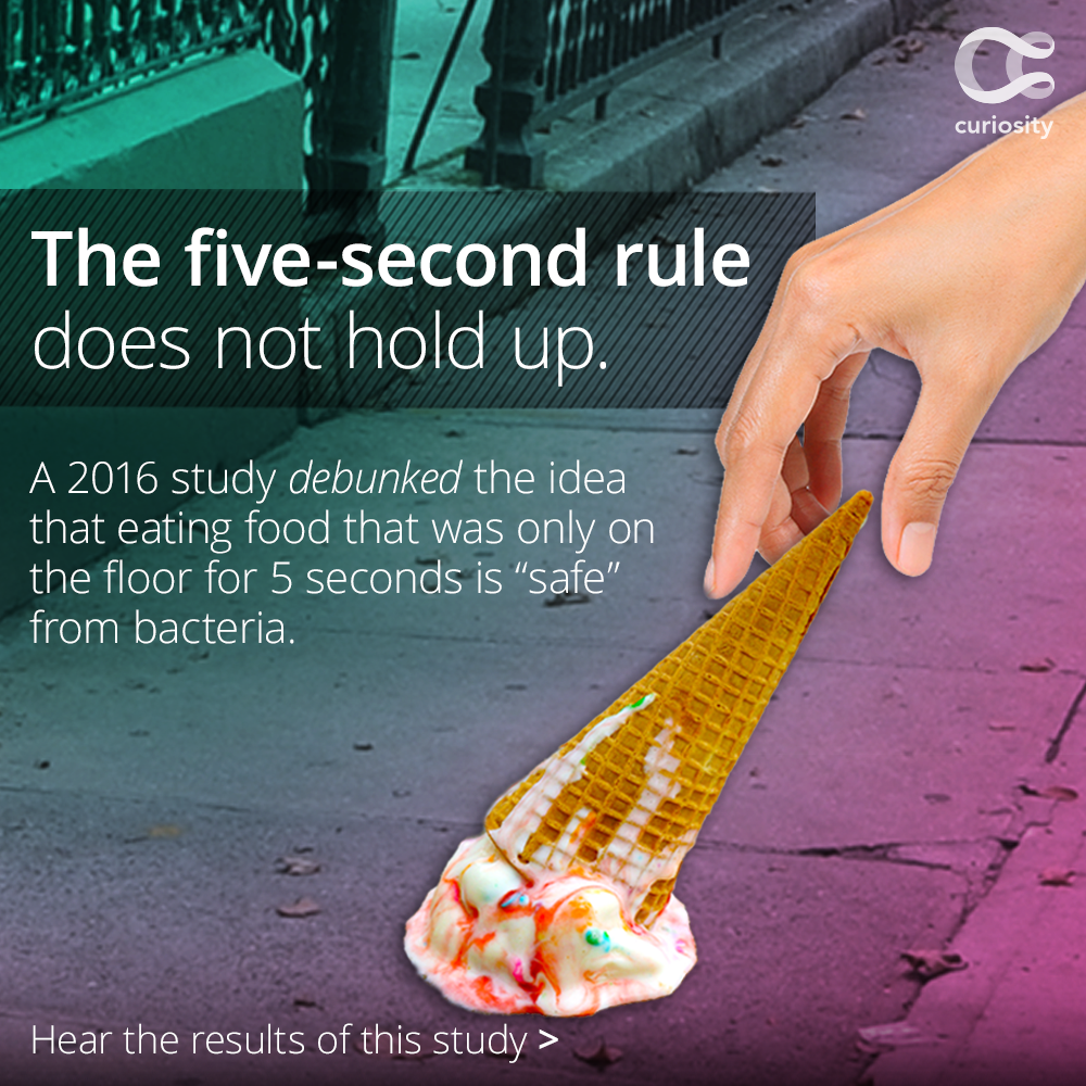 Sorry The 5 Second Rule Is Not A Thing Hellogiggleshellogiggles 