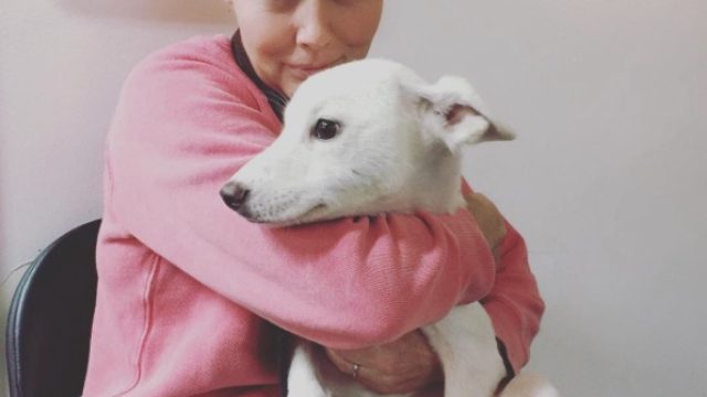 ShannonDoherty1