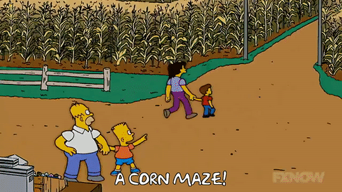maze.gif