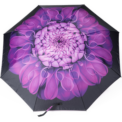 purple-flower.jpg
