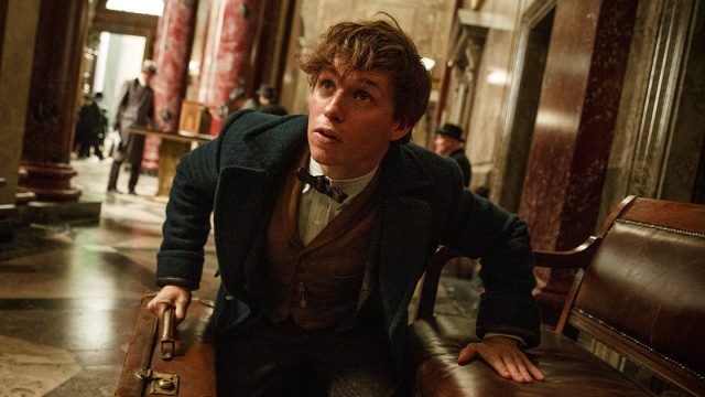 Fantastic Beasts and Where to Find Them