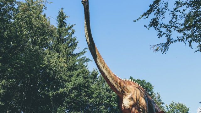 dinosaur-large