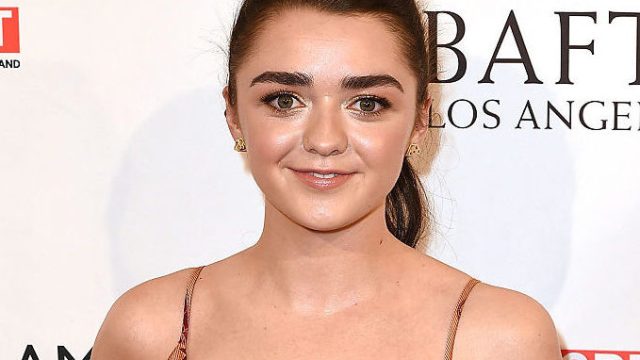 BBC America & BAFTA Los Angeles TV Tea Party