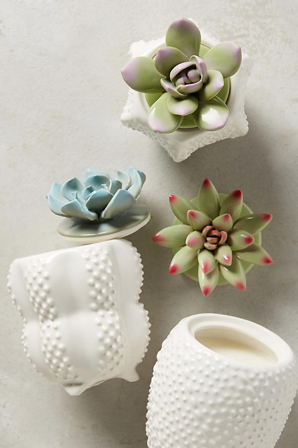 Succulent-Candles-Anthropologie.jpg
