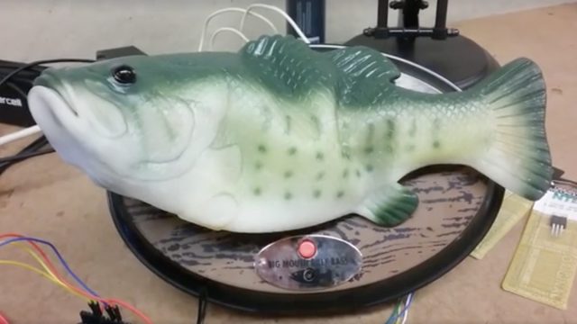 bass-2