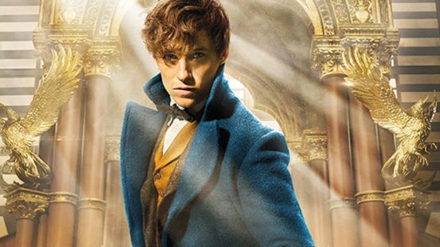 Picture of Eddie Redmayne as Newt Scamander in Fantastic Beasts and Where to Find Them