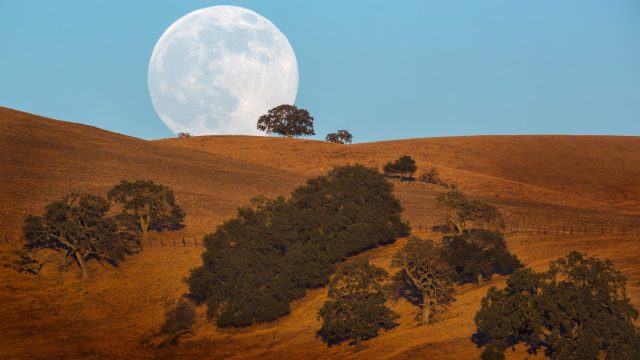 Super Moon Rising