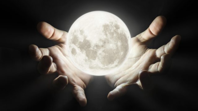 shutterstock_493283299