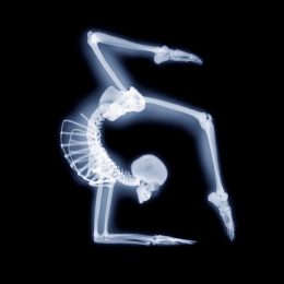 Elbow stand, X-ray artwork