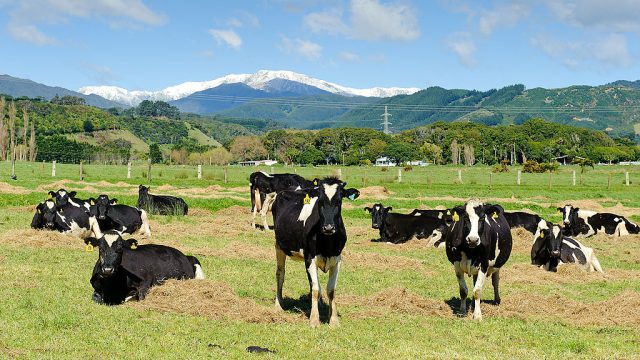 Fonterra Cooperative Group Production Facility