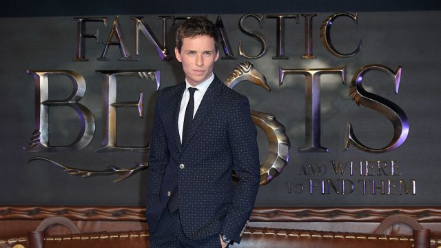 "Fantastic Beasts And Where To Find Them" European Premiere - Red Carpet Arrivals