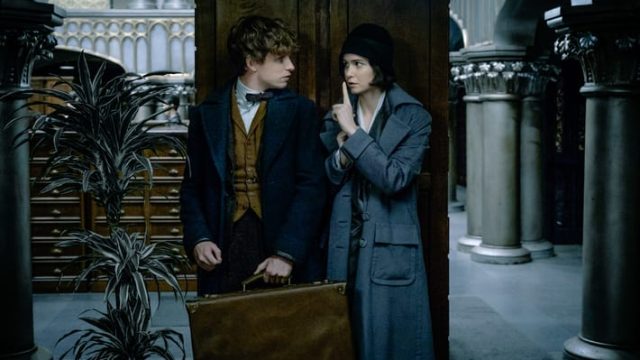newt-tina-fantastic-beasts