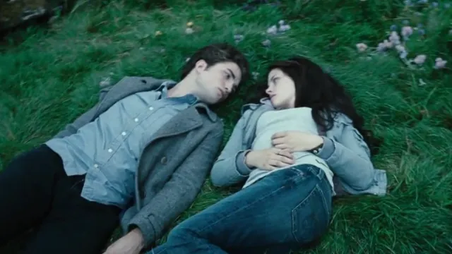 twilight-saga-auction-summit
