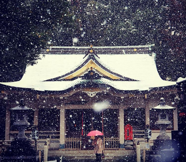Snow Falls in Tokyo for the First Time in November Since 1962