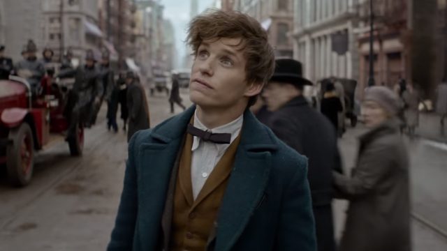 Newt Meeting Harry Potter