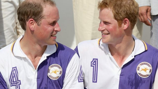 prince-harry-william-cooler-brother
