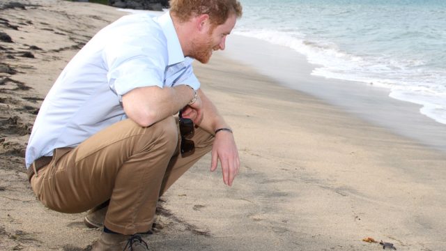 Prince Harry Visits The Caribbean - Day 4