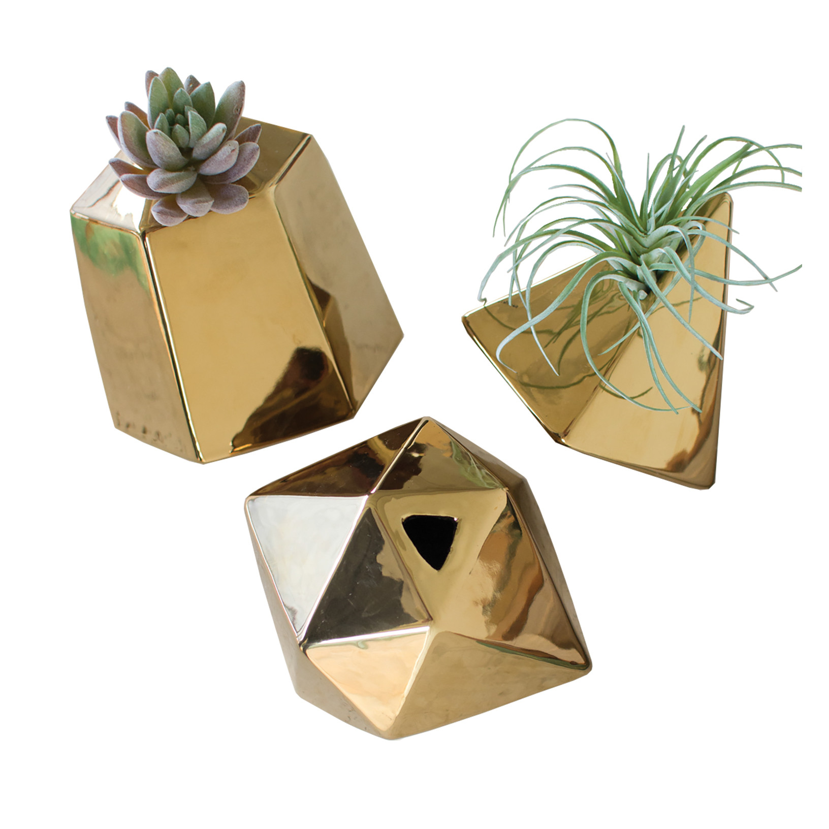 Three_Ceramic_Gold_Geometric_Succulent_Vases.jpg