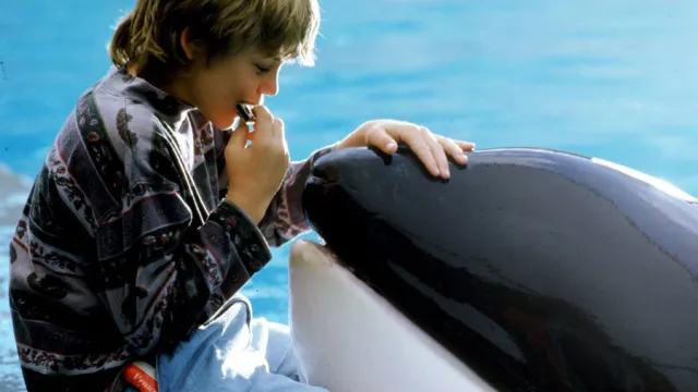Free Willy