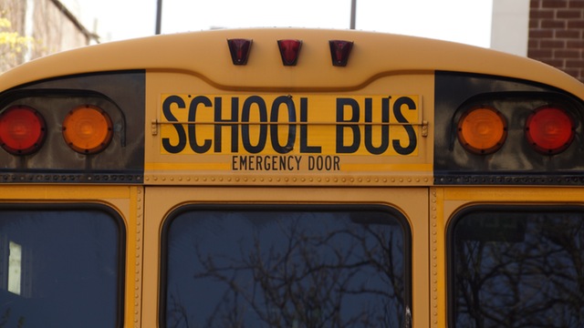 bus-school-school-bus-yellow-159658.jpeg