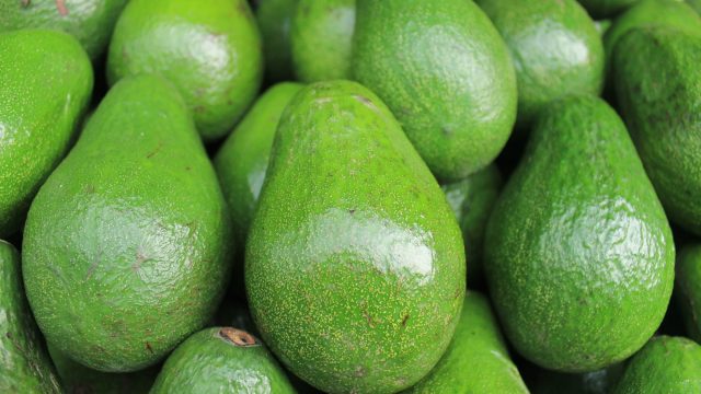 avocados