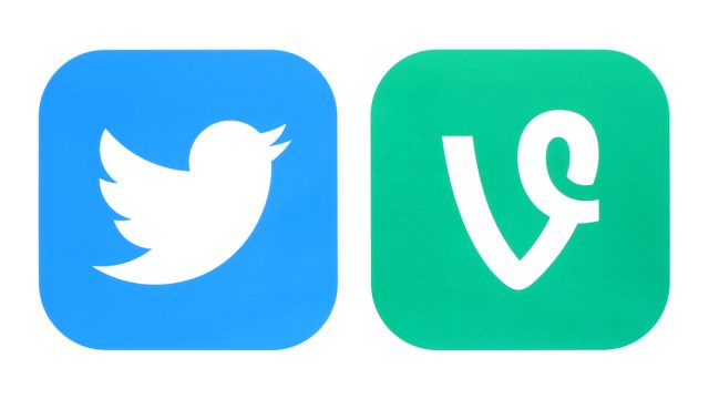 vine twitter