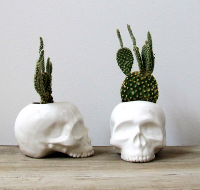 skull-planter.png