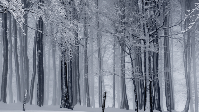 snow