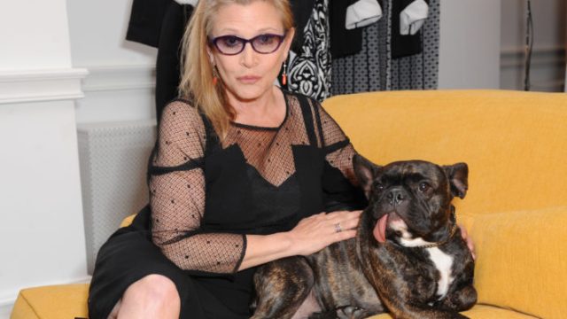 Marina Rinaldi Launches New Atelier