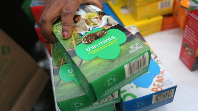 thin-mints