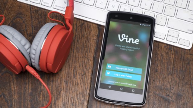 vine