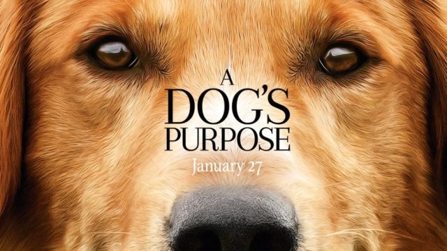dogpurpose