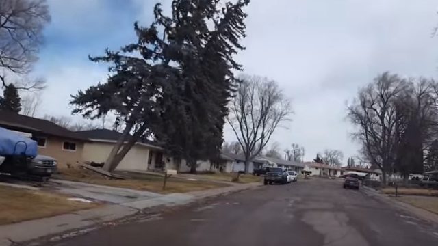 wind-knocking-over-tree