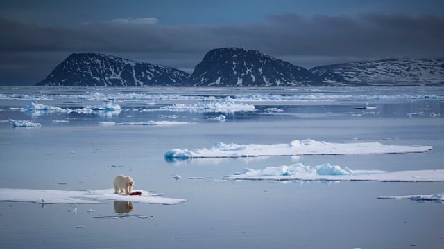 melting ice
