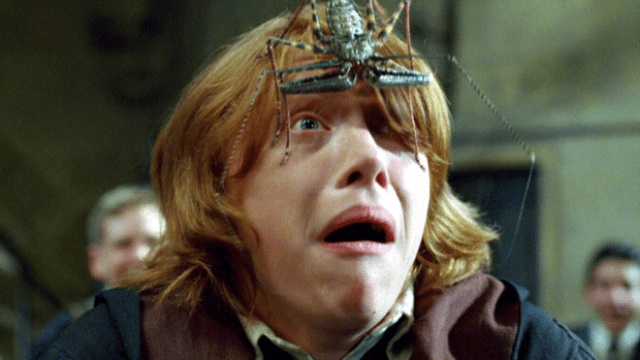 harry-potter-spider