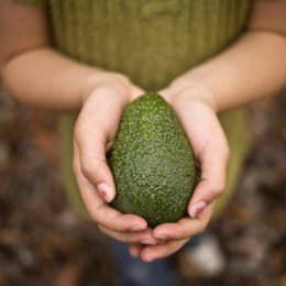 Girl holding avocado