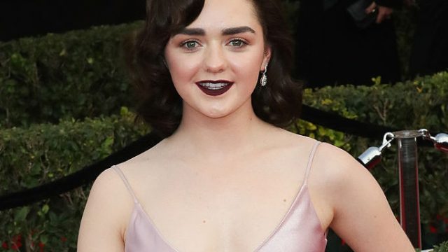 23rd Annual Screen Actors Guild Awards - Arrivals