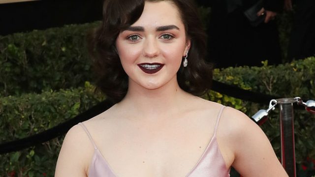 23rd Annual Screen Actors Guild Awards - Arrivals