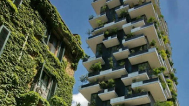vertical forests
