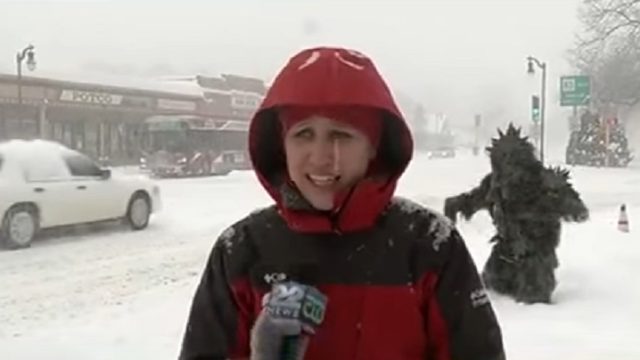 potsquatch crashes news broadcast