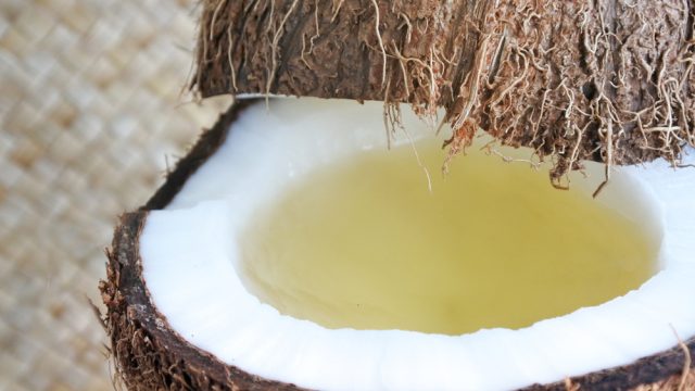cocunut
